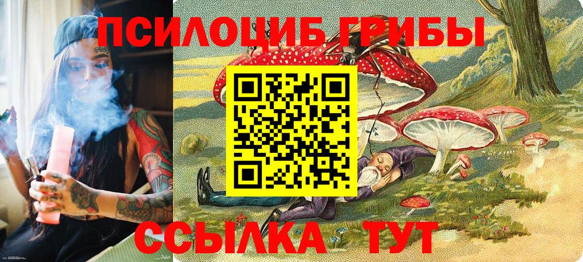 Солнечногорск  Галлюциногенные грибы GOLDEN TEACHER  Вход с VPN  где можно купить наркотик  Галлюциногенные грибы GOLDEN TEACHER 